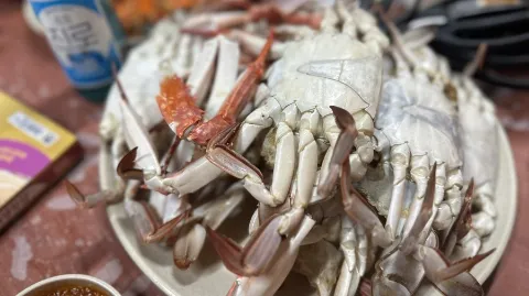 정모 대표 이미지
