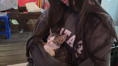 정모 대표 이미지