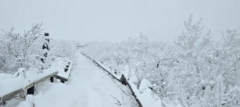 모임 대표 이미지