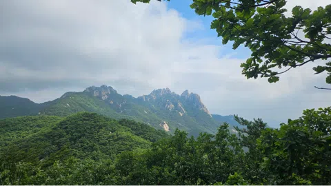 정모 대표 이미지