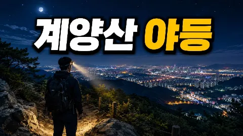 정모 대표 이미지