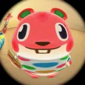 member face