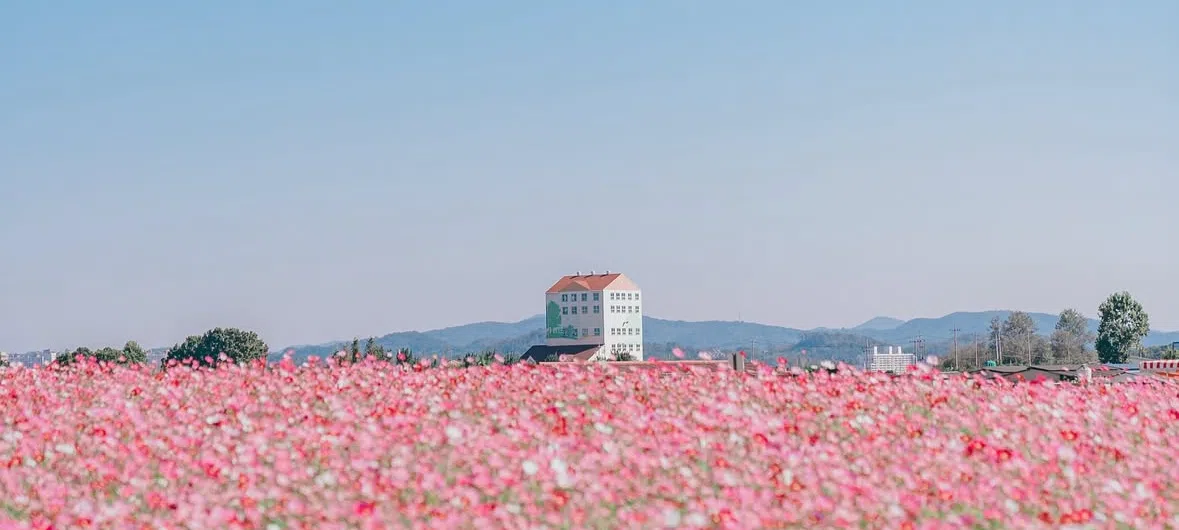모임 이미지 1