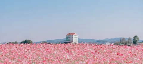 모임 대표 이미지