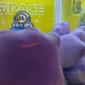 member face