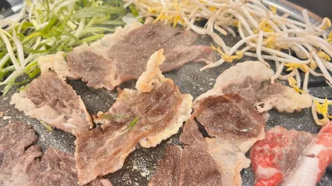 정모 대표 이미지