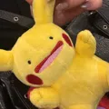 member face