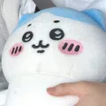member face