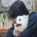 member face