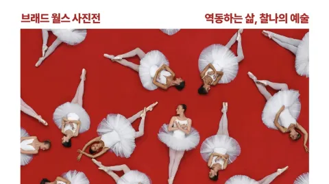 정모 대표 이미지