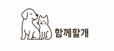 모임 대표 이미지