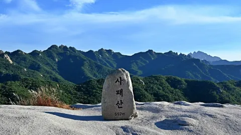 정모 대표 이미지