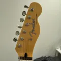 member face