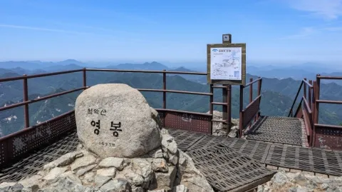 정모 대표 이미지