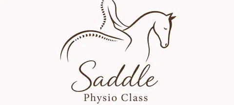 모임 대표 이미지