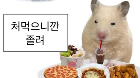 정모 대표 이미지