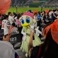 member face