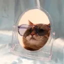 member face