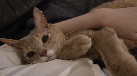 정모 대표 이미지