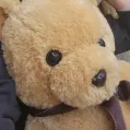 member face
