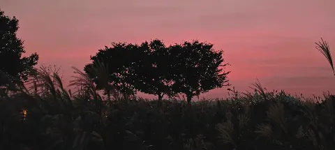 모임 대표 이미지