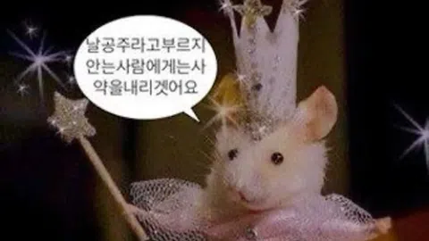 정모 대표 이미지