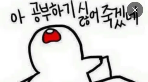 정모 대표 이미지