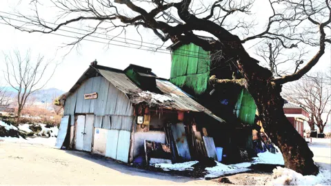 정모 대표 이미지