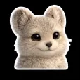 member face