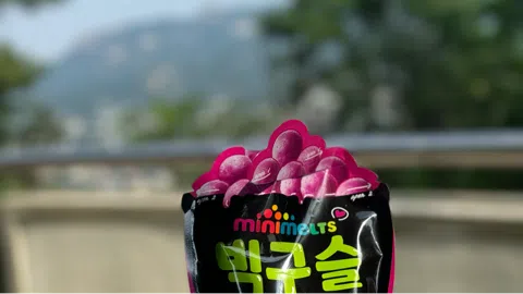 정모 대표 이미지