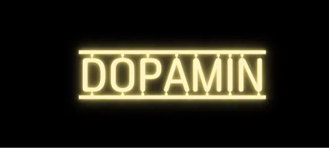 모임 대표 이미지