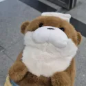 member face