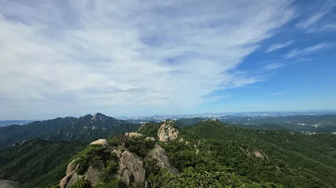 정모 대표 이미지