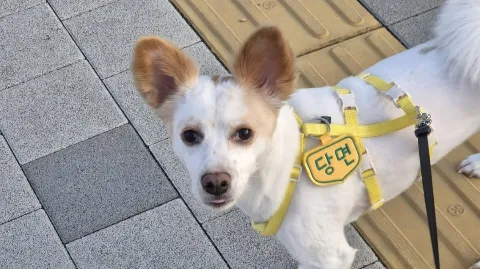 정모 대표 이미지