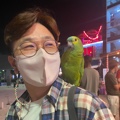 member face