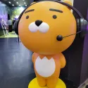 member face