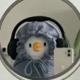 member face