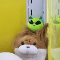 member face