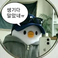 member face