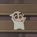 member face