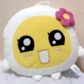 member face
