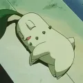 member face