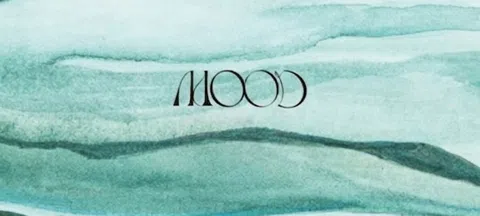 모임 대표 이미지