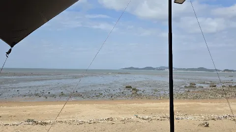 정모 대표 이미지