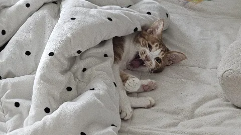 정모 대표 이미지