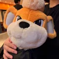 member face