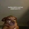member face