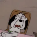 member face