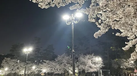 정모 대표 이미지