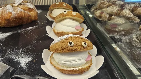 정모 대표 이미지